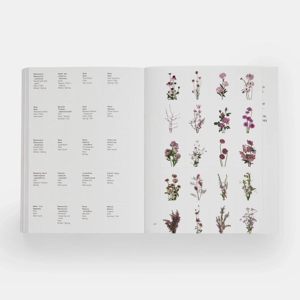 Flower Colour Guide